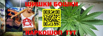 индика Усть-Илимск