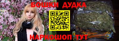 индика Усть-Илимск