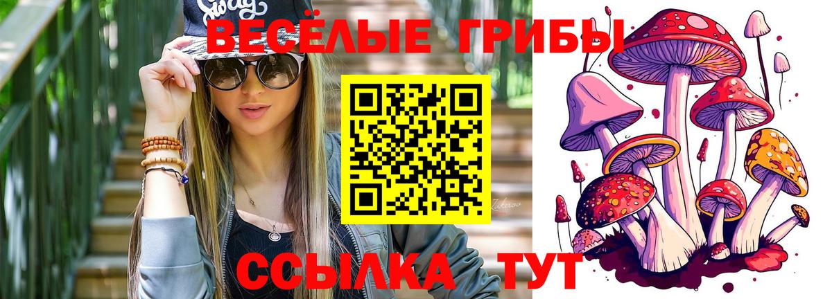 Псилоцибиновые грибы Magic Shrooms  Псилоцибиновые грибы Magic Shrooms  Вход с VPN  Сафоново 